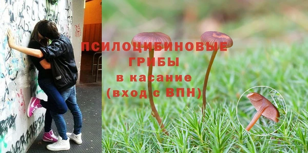 марки lsd Белокуриха