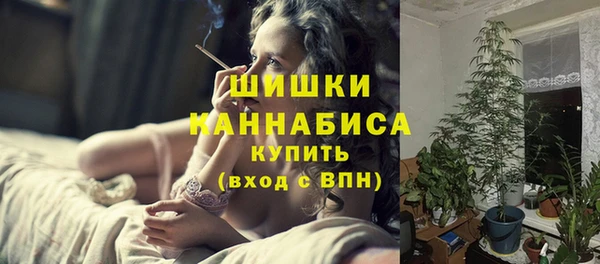 прущие грибы Белоозёрский
