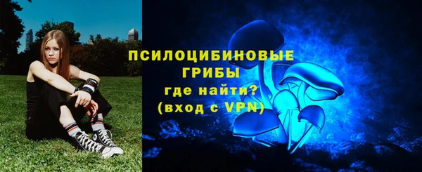 скорость Богданович