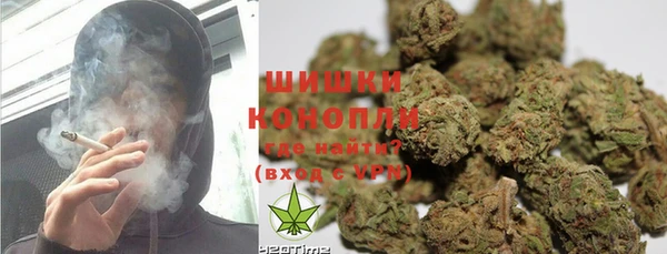 прущие грибы Белоозёрский