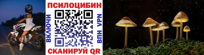 Псилоцибиновые грибы Psilocybine cubensis  Малая Вишера 