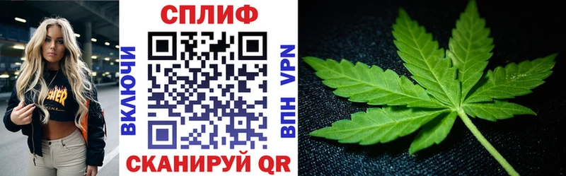 Марихуана гибрид Малая Вишера